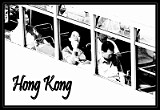 IMG_0827 (Large)